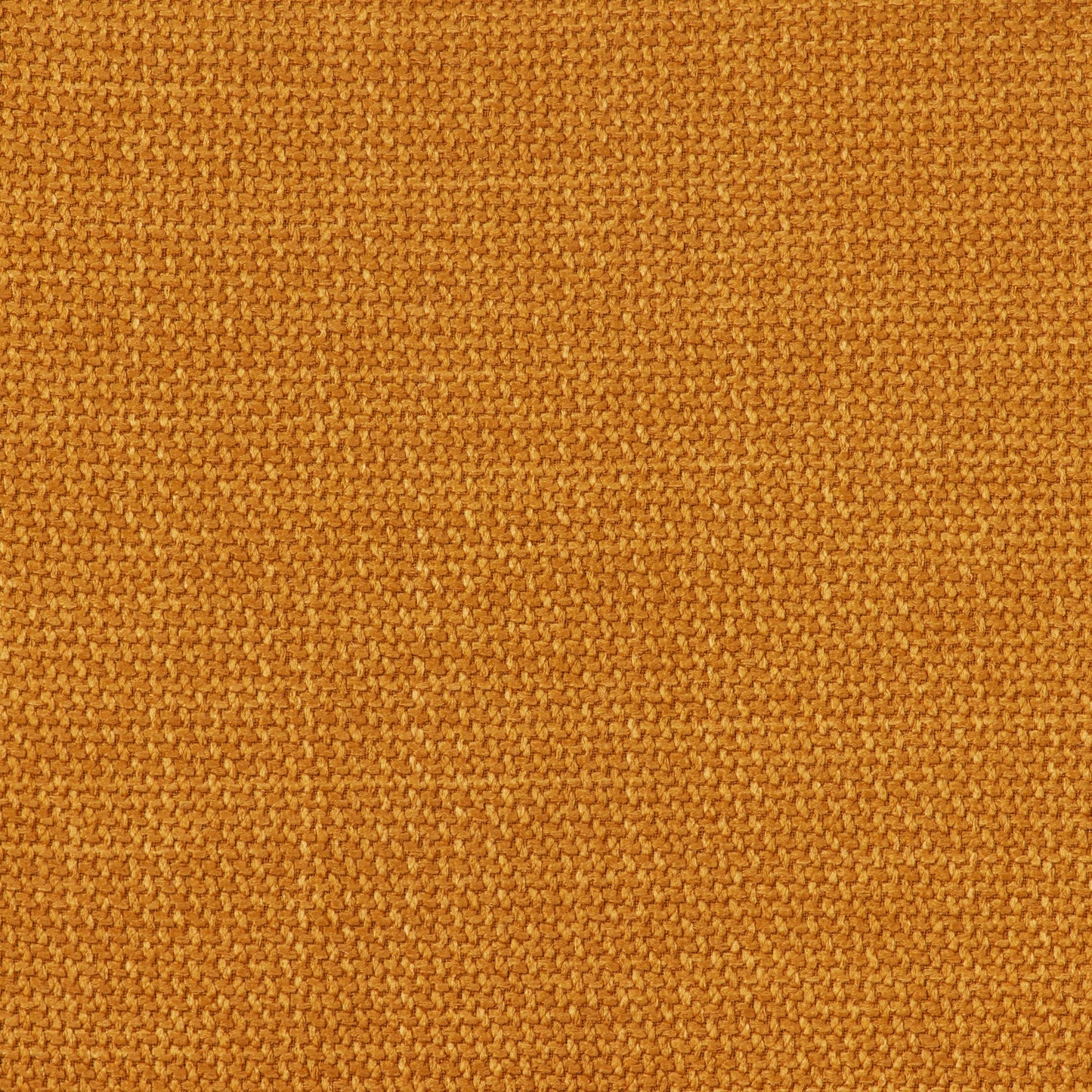 Chaise de salle à manger Barnaby - Ambre