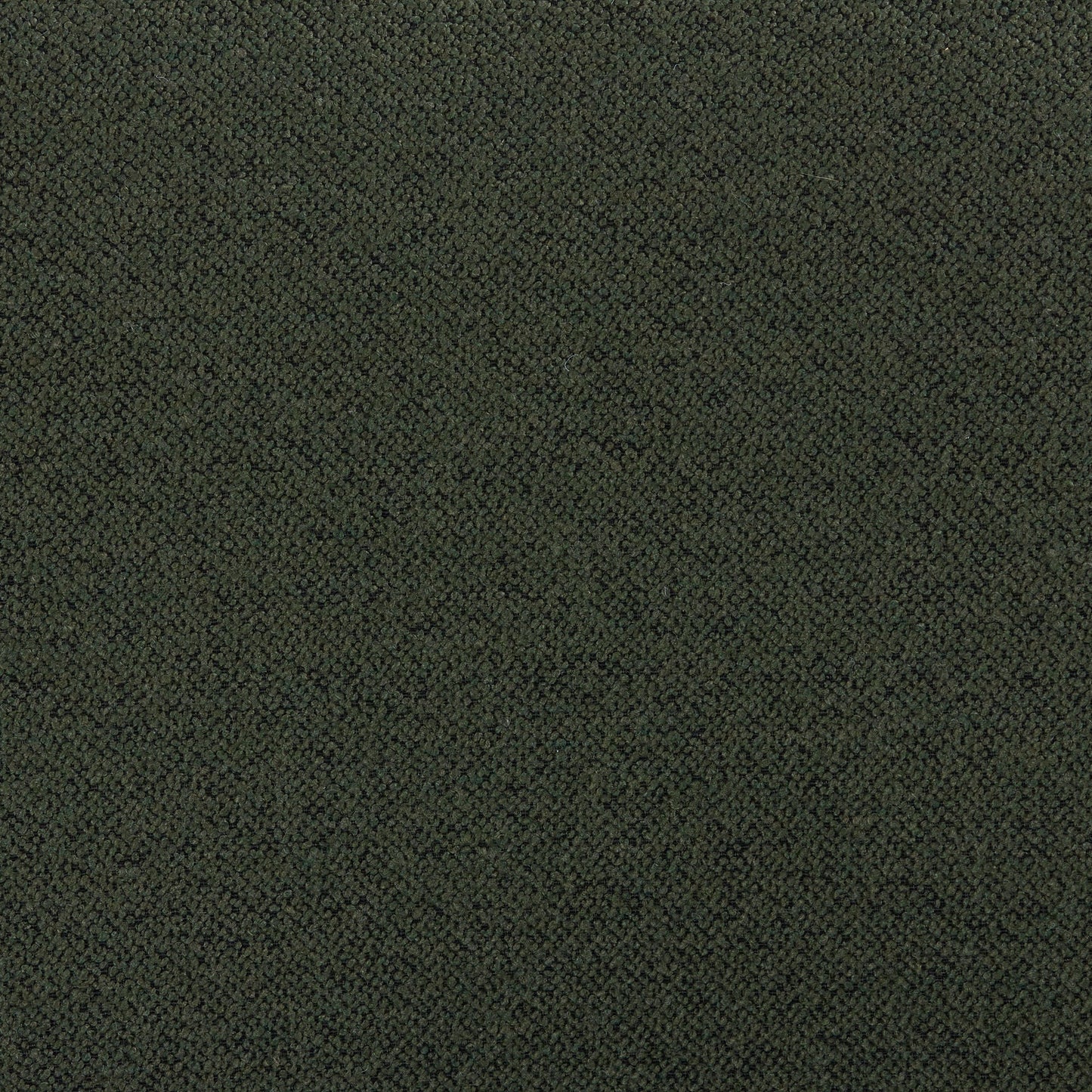 Fauteuil Walter Lounge - Vert