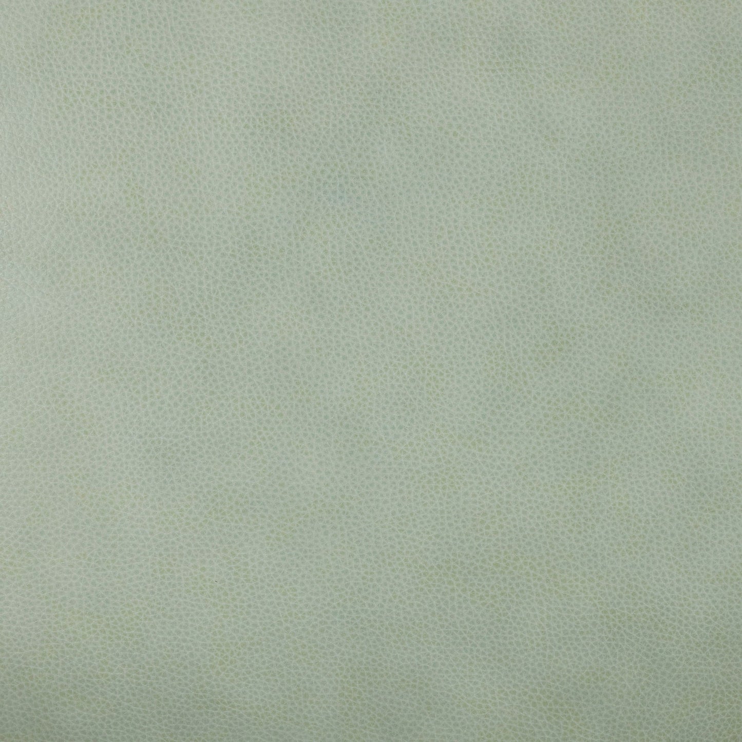 Fauteuil Micah - Sauge