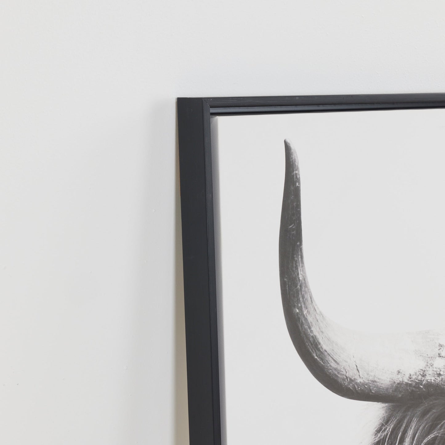 Illustration imprimée de vache des Highlands