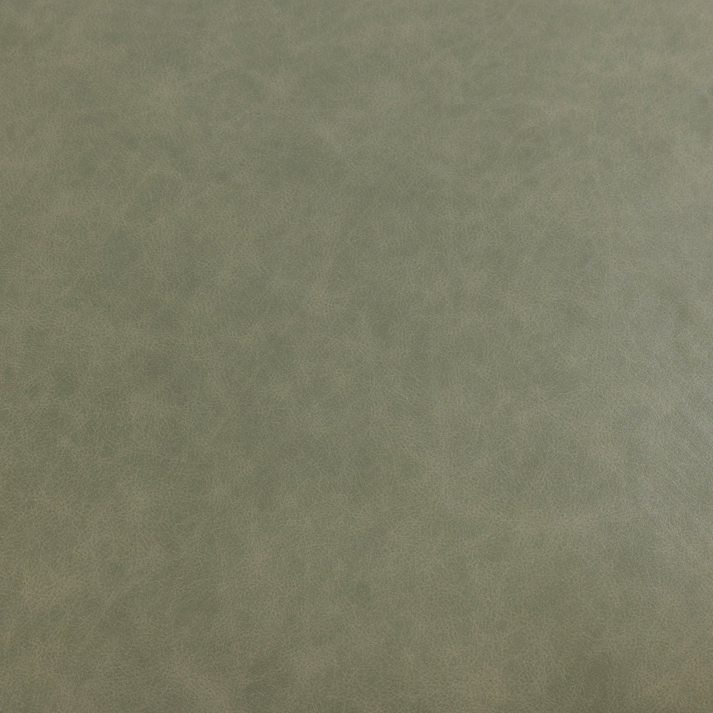 Fauteuil Colton - Lichen