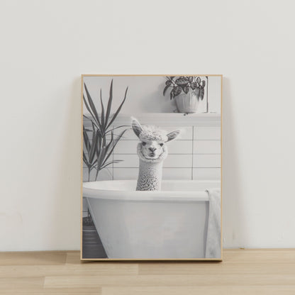 Impression de bain d'alpaga