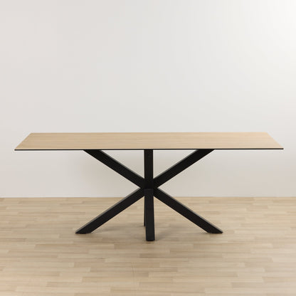 Table de salle à manger Larcom - 100 x 200 cm - Céramique