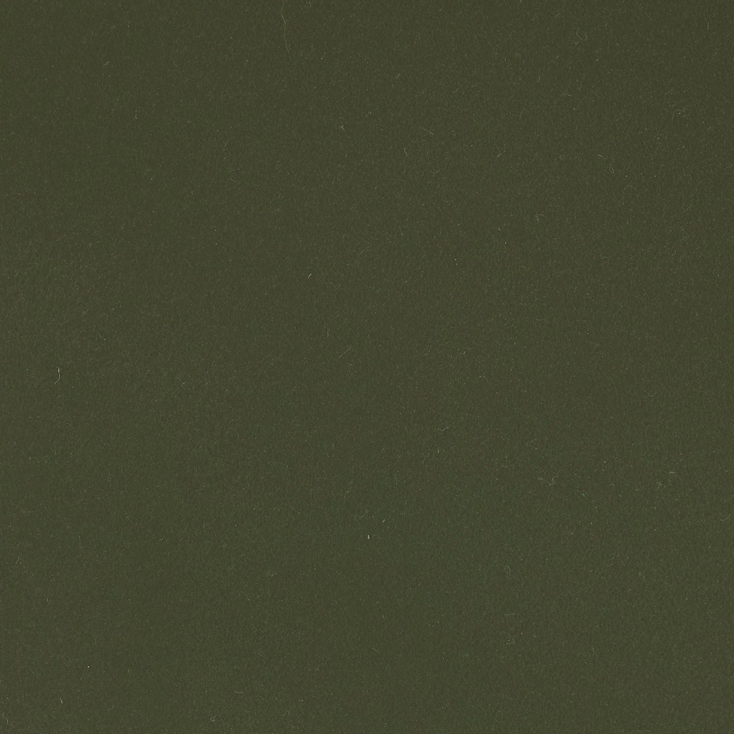 Chaise de salle à manger Vincent - Olive