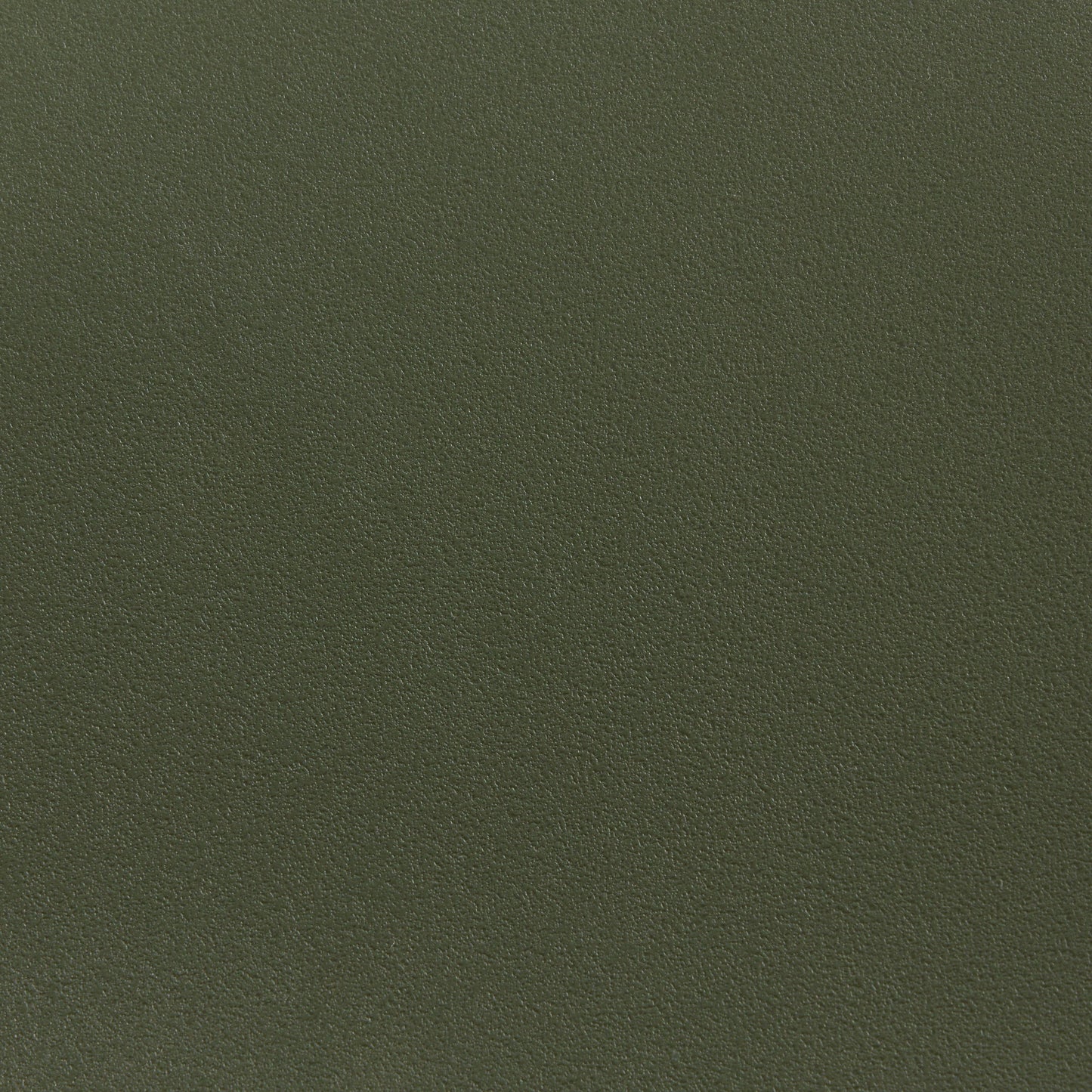 Chaise de salle à manger Roxby - Olive