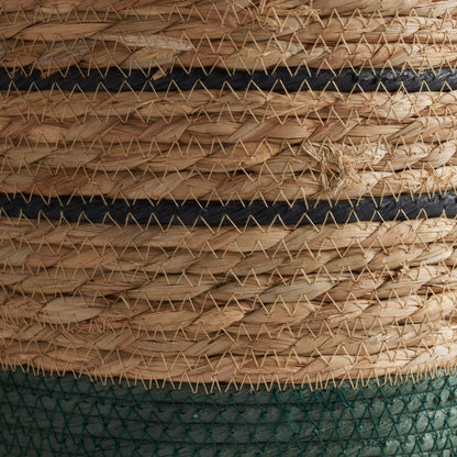 Panier Bailey - Vert foncé - Moyen