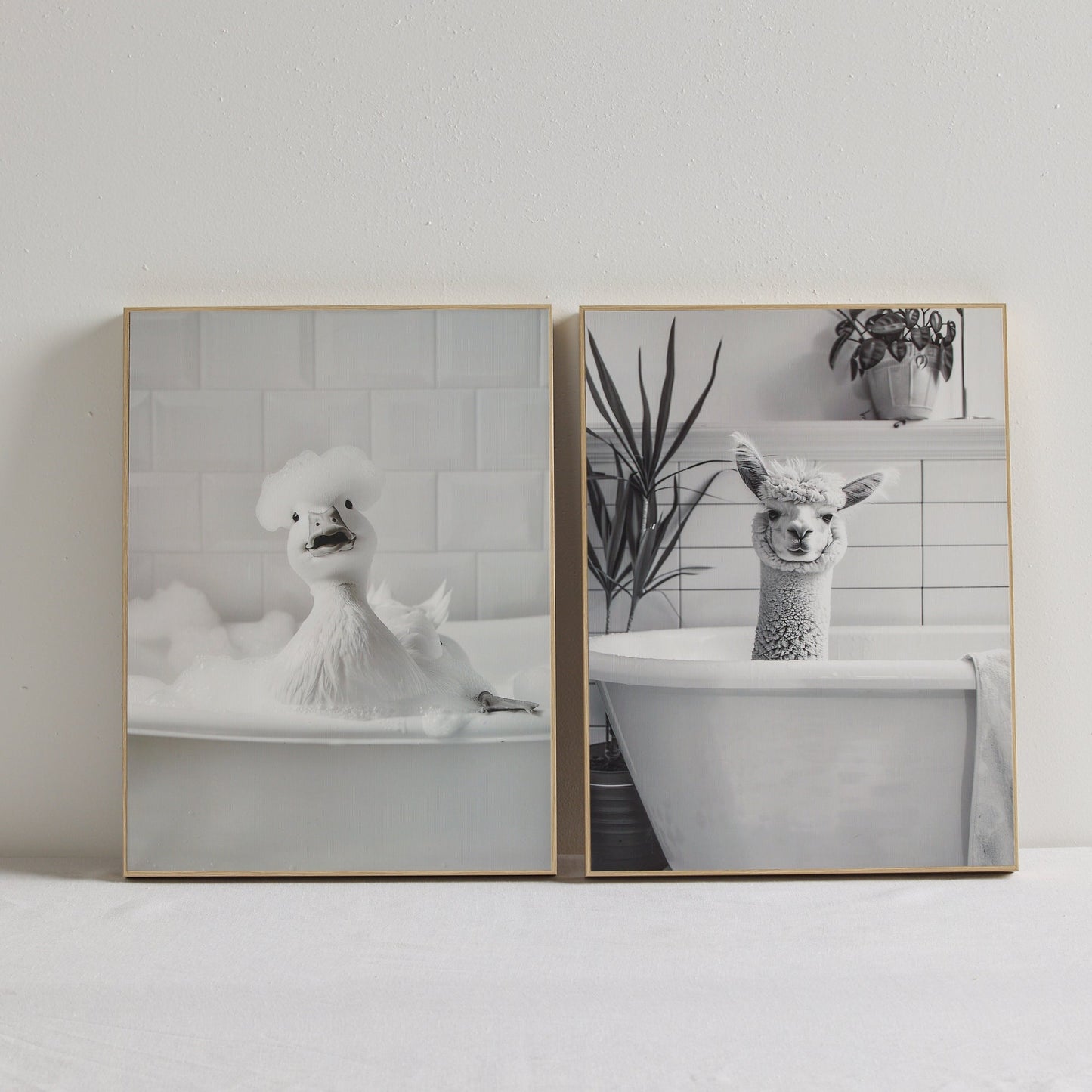 Impression de bain d'alpaga