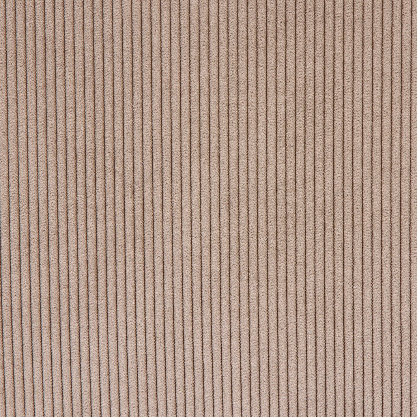 Abbot 1 place sans accoudoirs - Âne