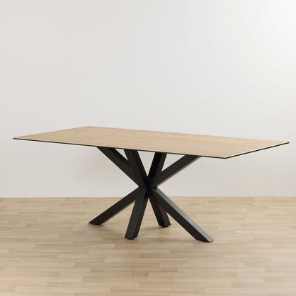 Table de salle à manger Larcom - 100 x 200 cm - Céramique