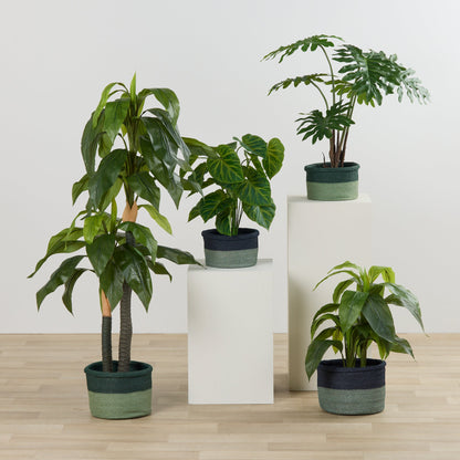 Demi-panier - Moyen - Vert foncé/Sauge