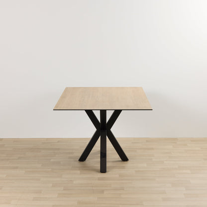 Table de salle à manger Larcom - 100 x 200 cm - Céramique
